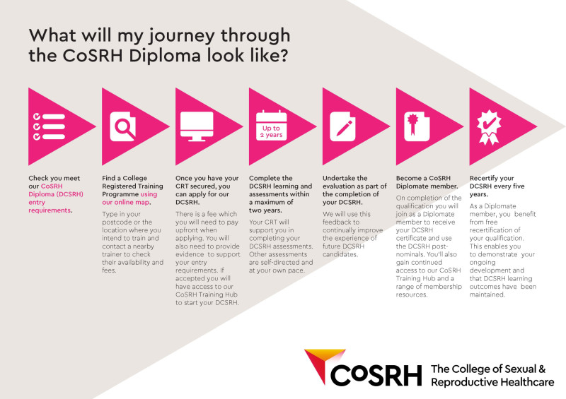 Diploma-Journey-Infographic
